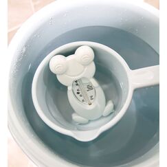 Babyjem Frog Bath & Room Thermometer for Babies 0 Months+, Color: Turquoise
