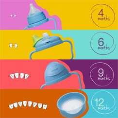 b.box Transition Value Pack 4-in-1 Feeding Set, Color: Grey