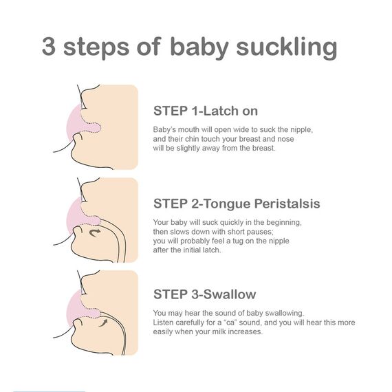 Farlin AC-22005 Crystal Clear Silicone Wide Neck Stretchy Anti-Fur Nipple S 2PCS, 9 image