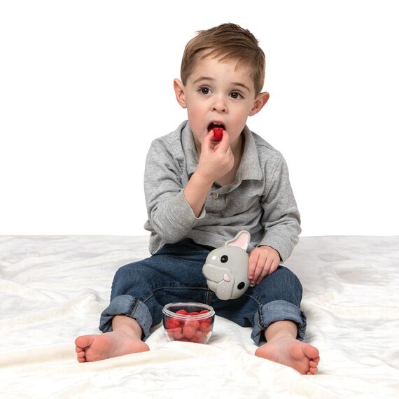 Melii Snack Food Storage Container with PP Base 232 ml 2 Pcs, Color: Grey & Purple, 4 image