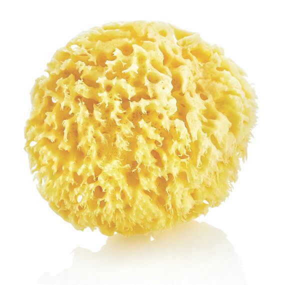 Babyjem Natural Sea Sponge - Natural