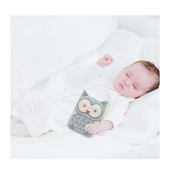 Babyjem Cherry Seeds Filled Velvet Colic Owl Shaped Pillow 0 Months+, Color: Green, 2 image