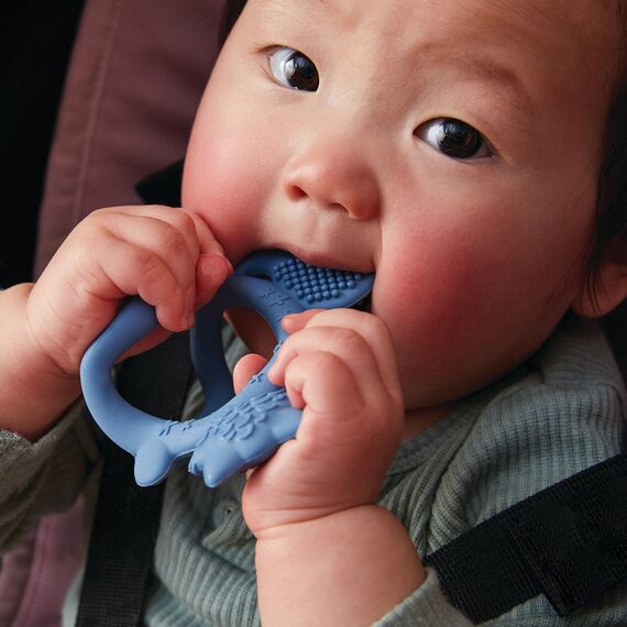 b.box Wrist Teether Soft Silicone Teething Toy 3m+, Color: Blue, 6 image