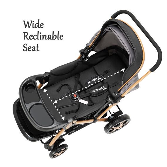 Teknum Reversible Trip2 Baby Stroller 0–36 Months Up To 22Kg, Color: Grey, 3 image