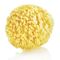 Babyjem Natural Sea Sponge - Natural