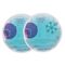 Gel Cooler 2 Pack