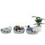 Little Story Multipurpose Cotton Rope Baskets Set Of 3 Grey, 8 image