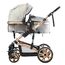 Teknum 3In1 Baby Stroller With Bassinet Reversible Seat 0-3 Years 18Kg, Color: Grey, 3 image