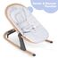 Teknum 3-Stage Baby Bouncer Recliner Seat With Mosquito Net 0-6 Months, 5 image