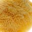 Babyjem Natural Sea Sponge - Natural, 5 image