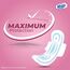 Veela Cushion Soft Maxi Pads for Women Heavy Flow Feminine Hygiene Pads Regular 12 Count, 9 image