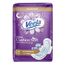 Veela Cushion Soft Maxi Pads for Women Heavy Flow Feminine Hygiene Pads Overnight 24 Count
