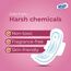 Veela Cushion Soft Maxi Pads for Women Heavy Flow Feminine Hygiene Pads Regular 12 Count, 3 image