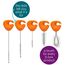 b.box Cleaning Brush Set of 5 for Sippy Cups, Water Bottles, Teats and Straws, 2 image