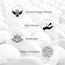 Sunveno Postpartum Mesh Underwear 2 Pieces, Color: White, Maternity Size: L, 11 image