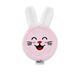 Babyjem Oral Care Glove for Babies 0 Months+, Color: pink